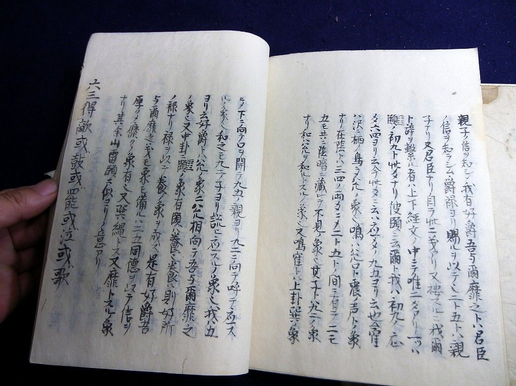 イメージ 9