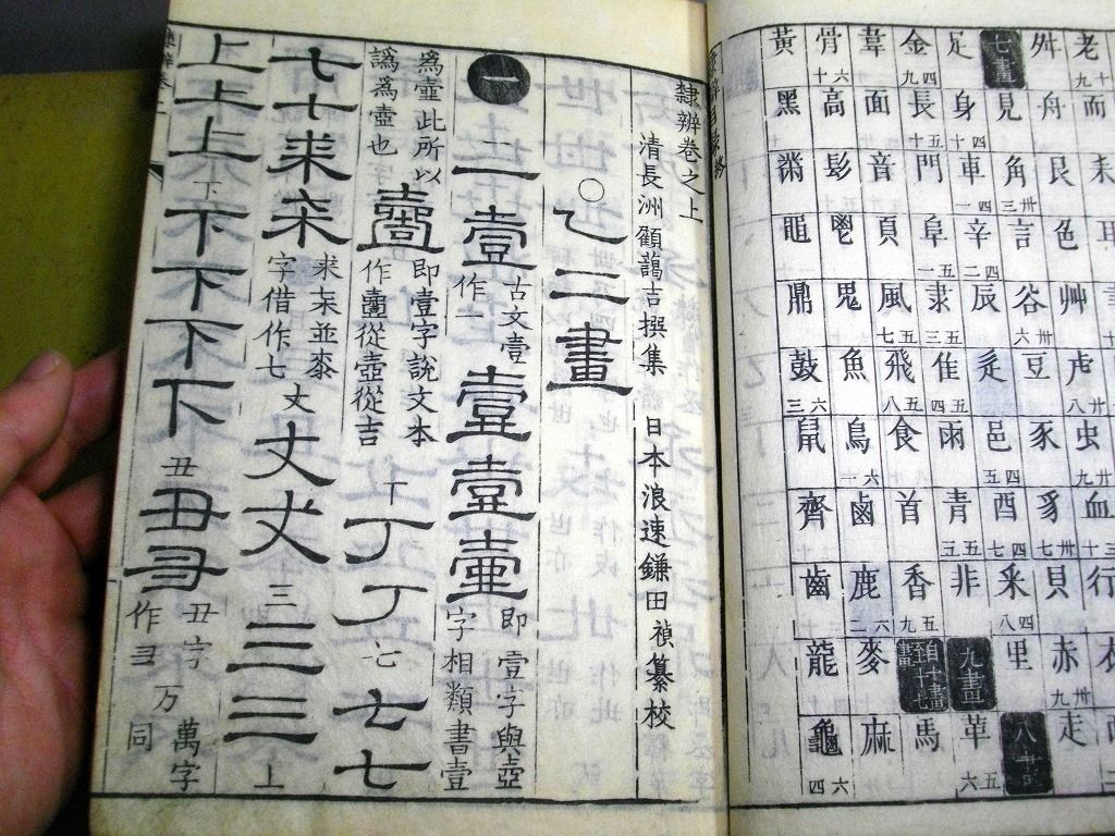 イメージ 5