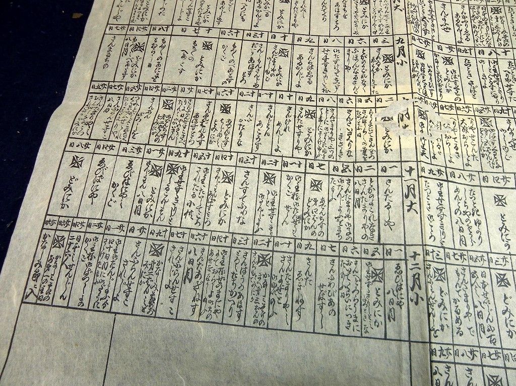 イメージ 5