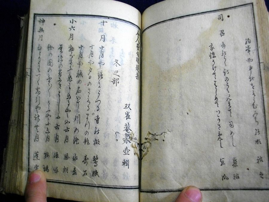 イメージ 7