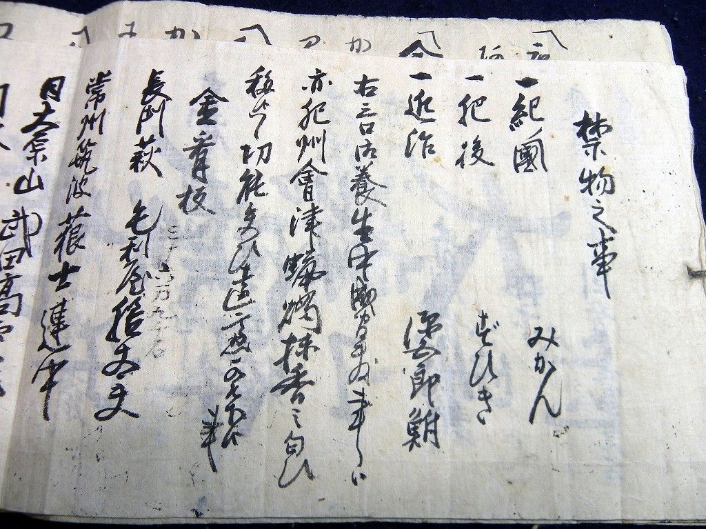 イメージ 2