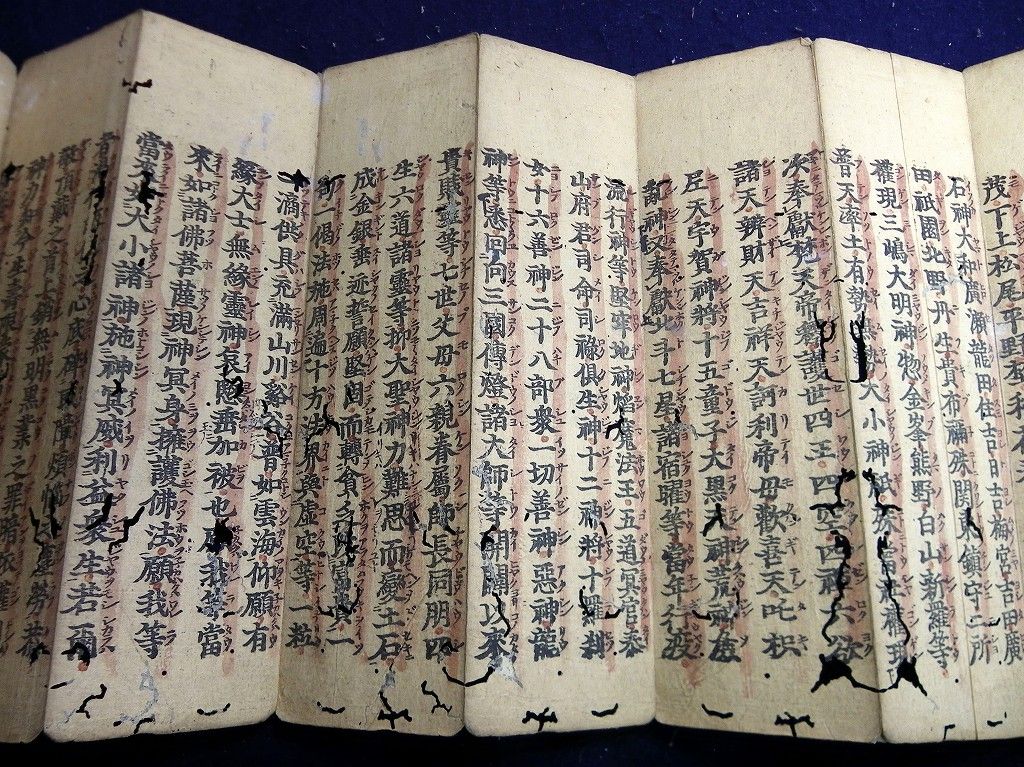 イメージ 7