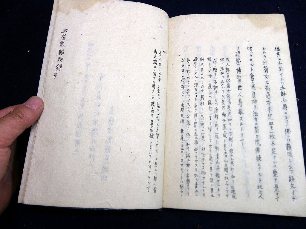 イメージ 10