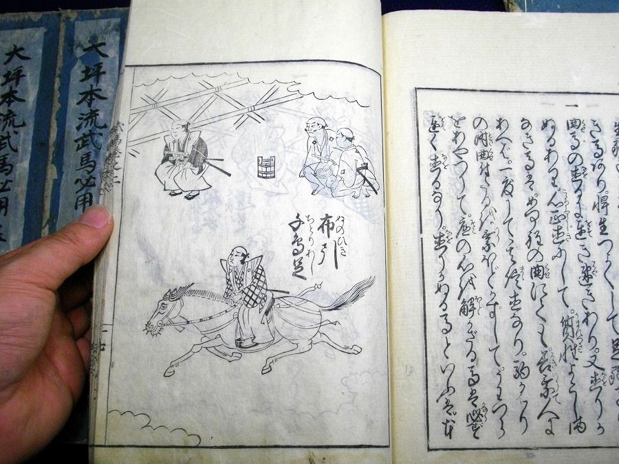イメージ 6