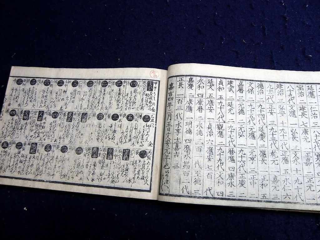 イメージ 5