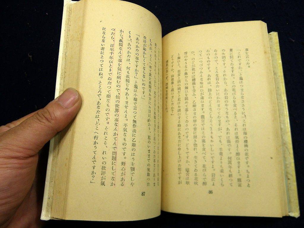 イメージ 7
