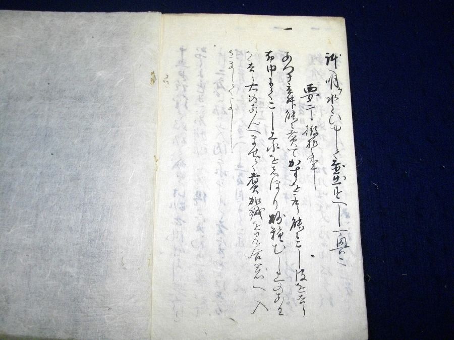 イメージ 5