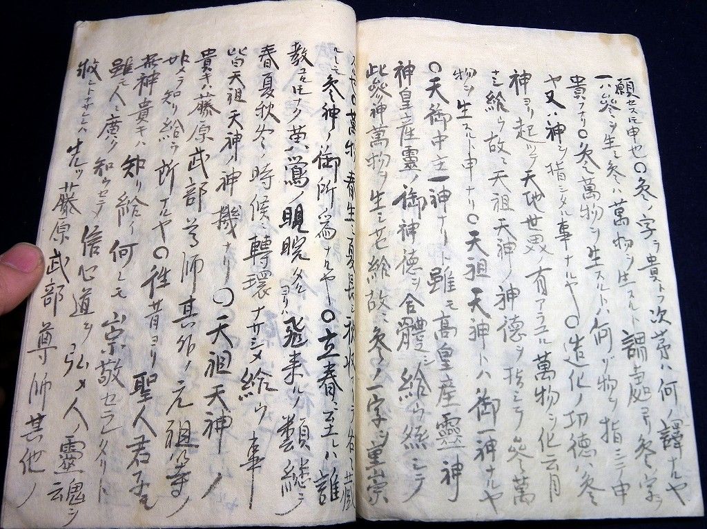 イメージ 5