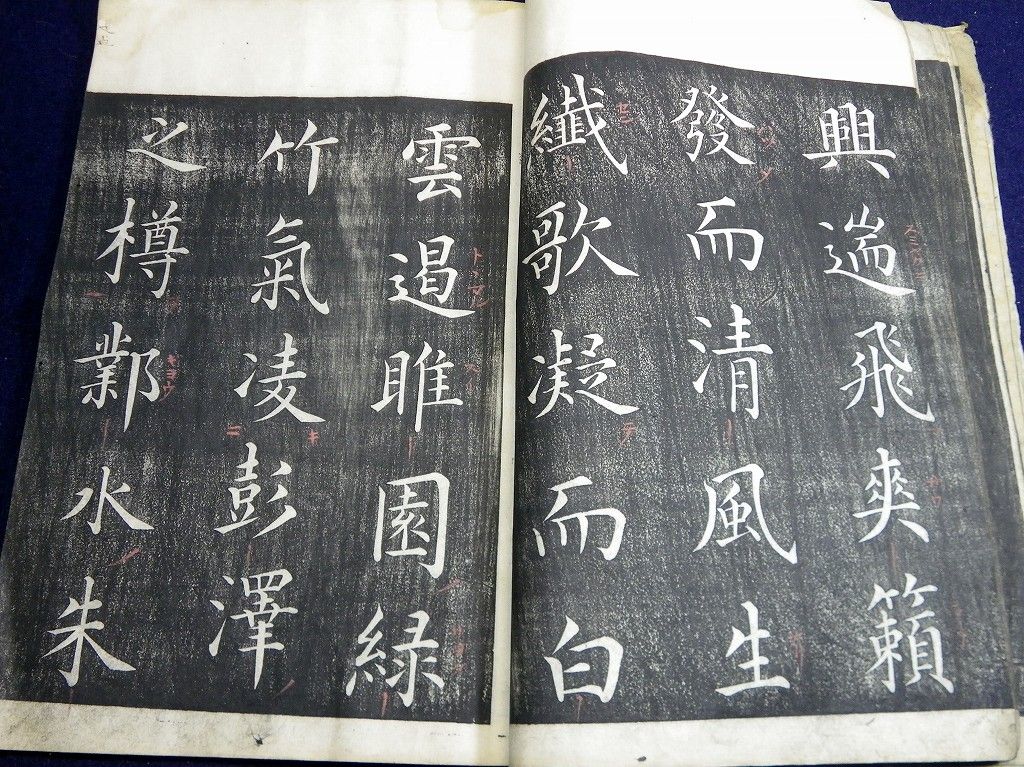 イメージ 6