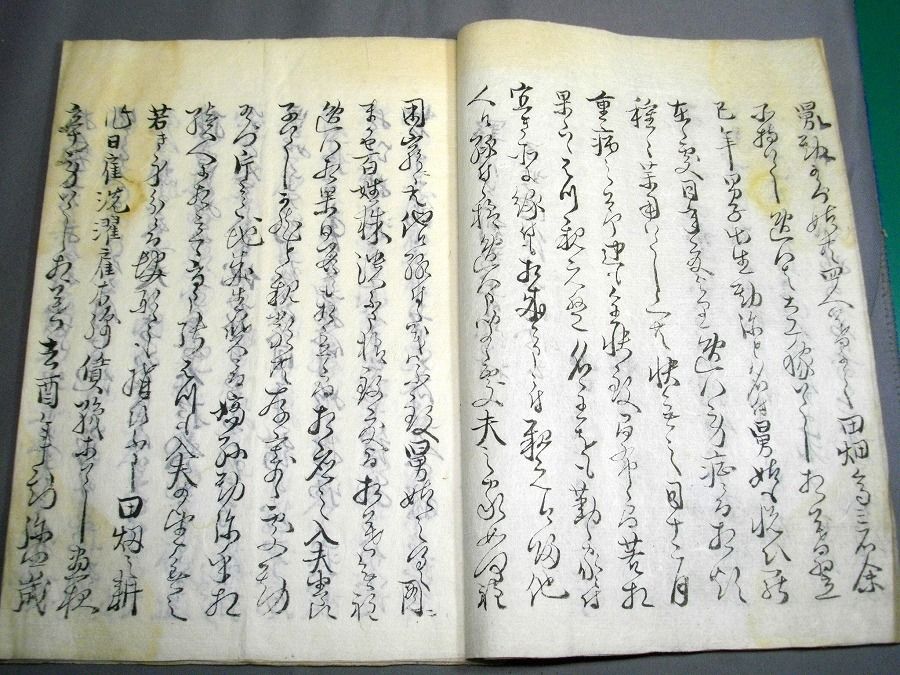 イメージ 3