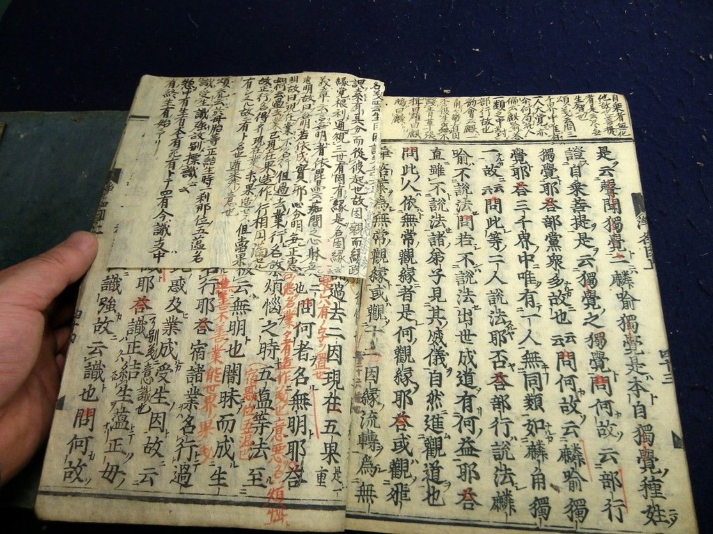 イメージ 4