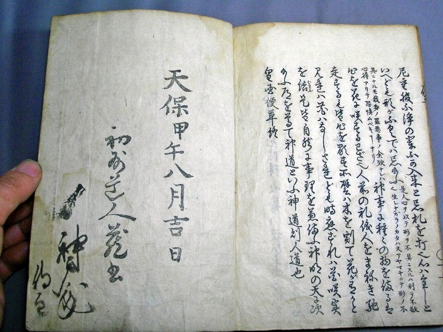 イメージ 5