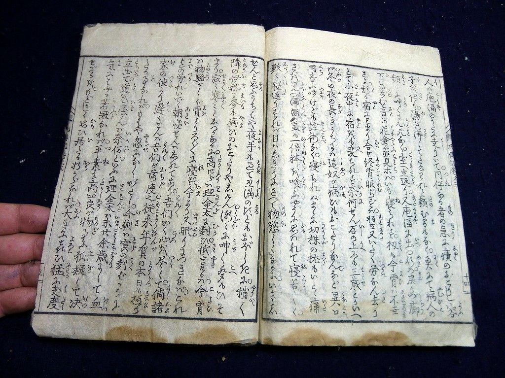 イメージ 5