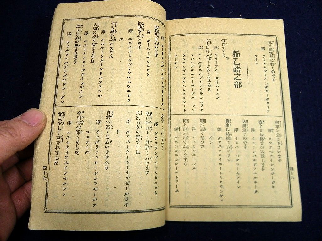 イメージ 9