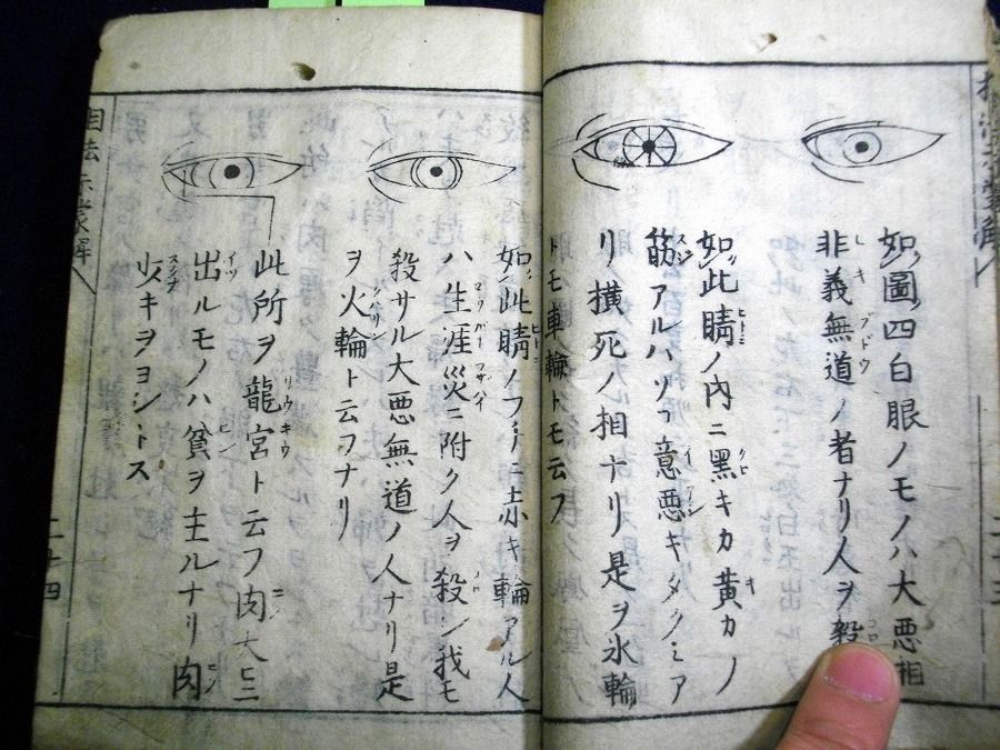 イメージ 6