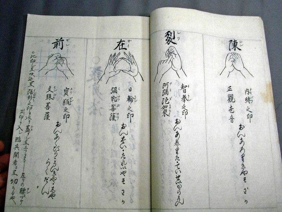 イメージ 5