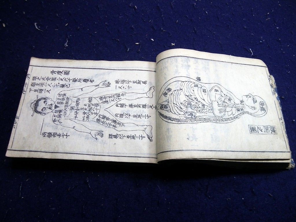 イメージ 9
