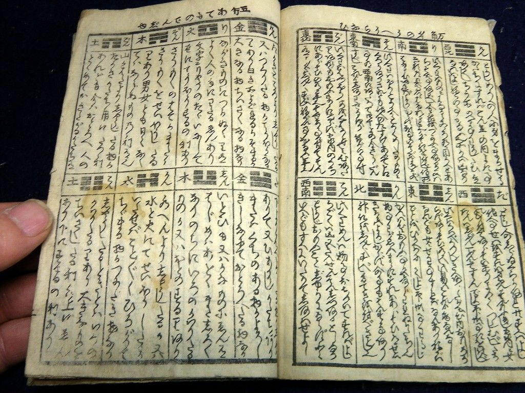イメージ 7