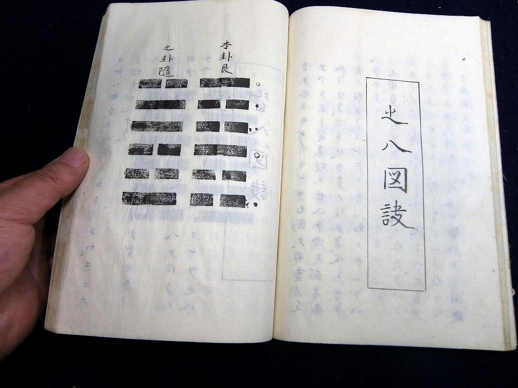 イメージ 7