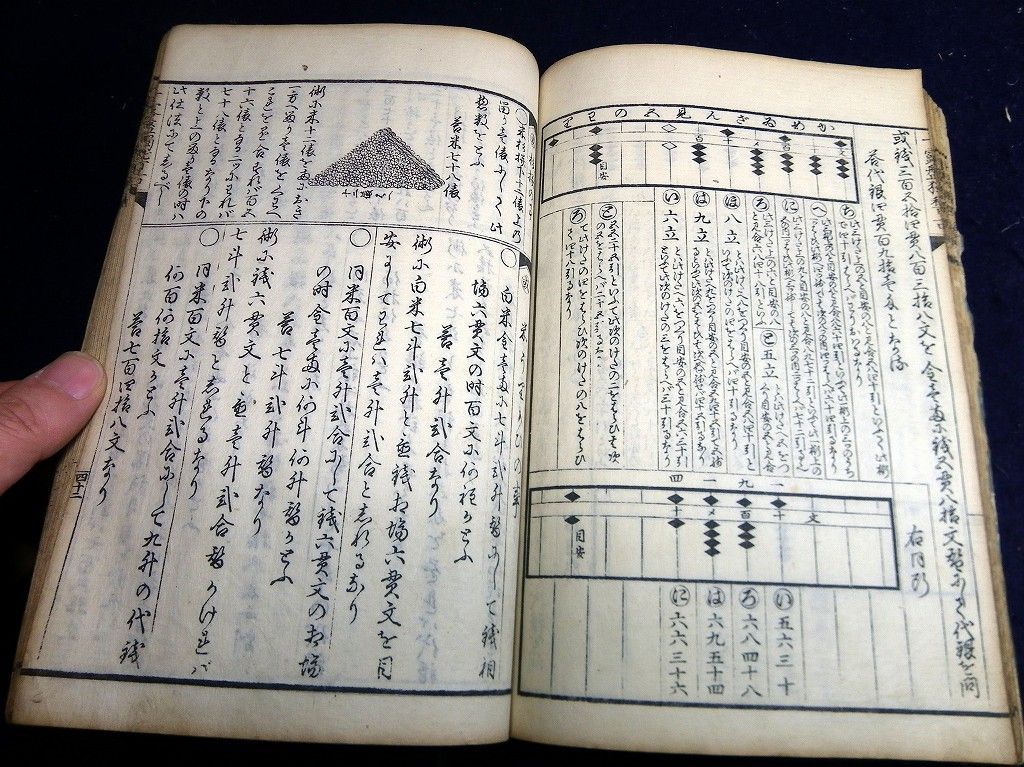 イメージ 7