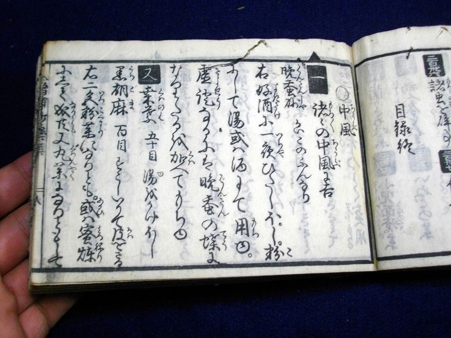イメージ 5