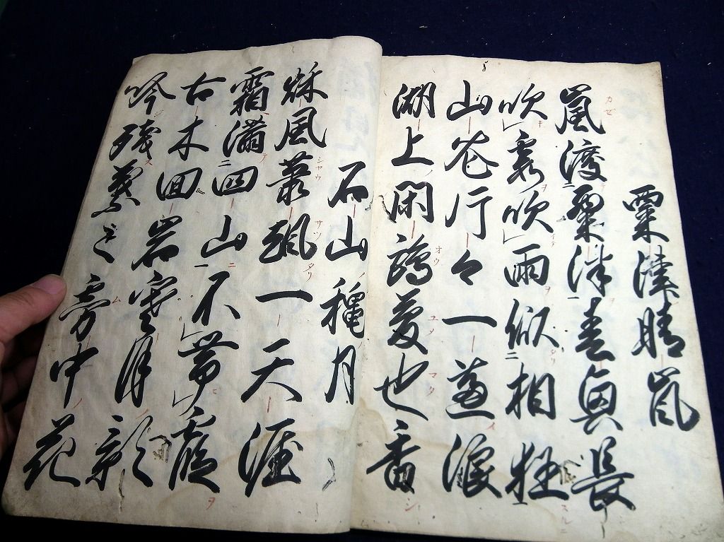 イメージ 7