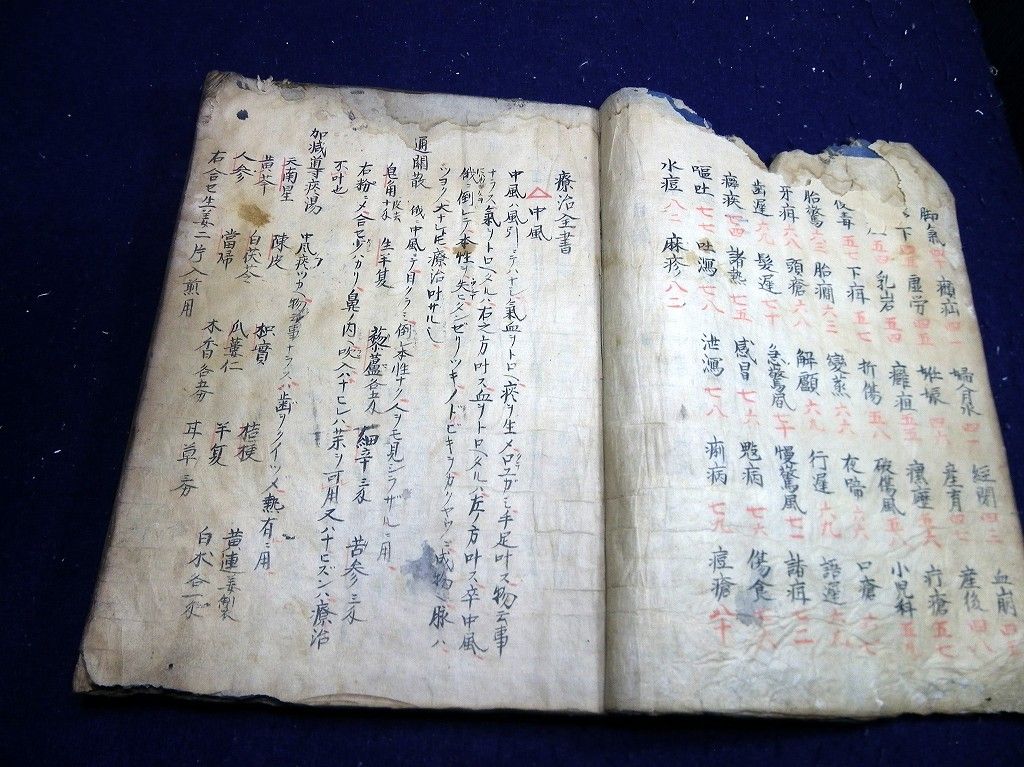 イメージ 3