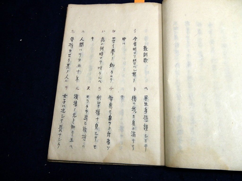 イメージ 7