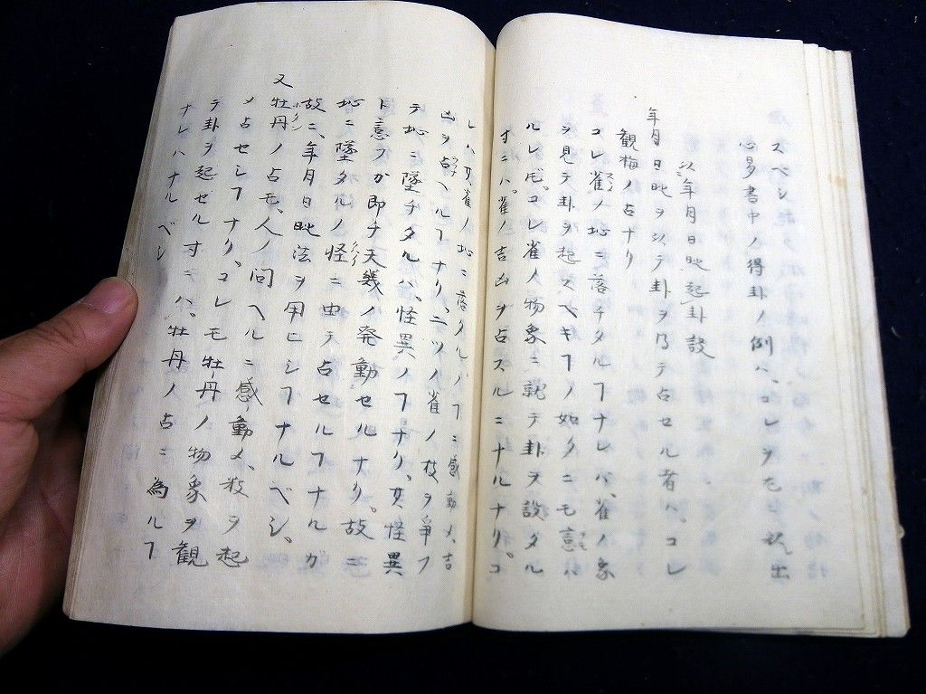 イメージ 5