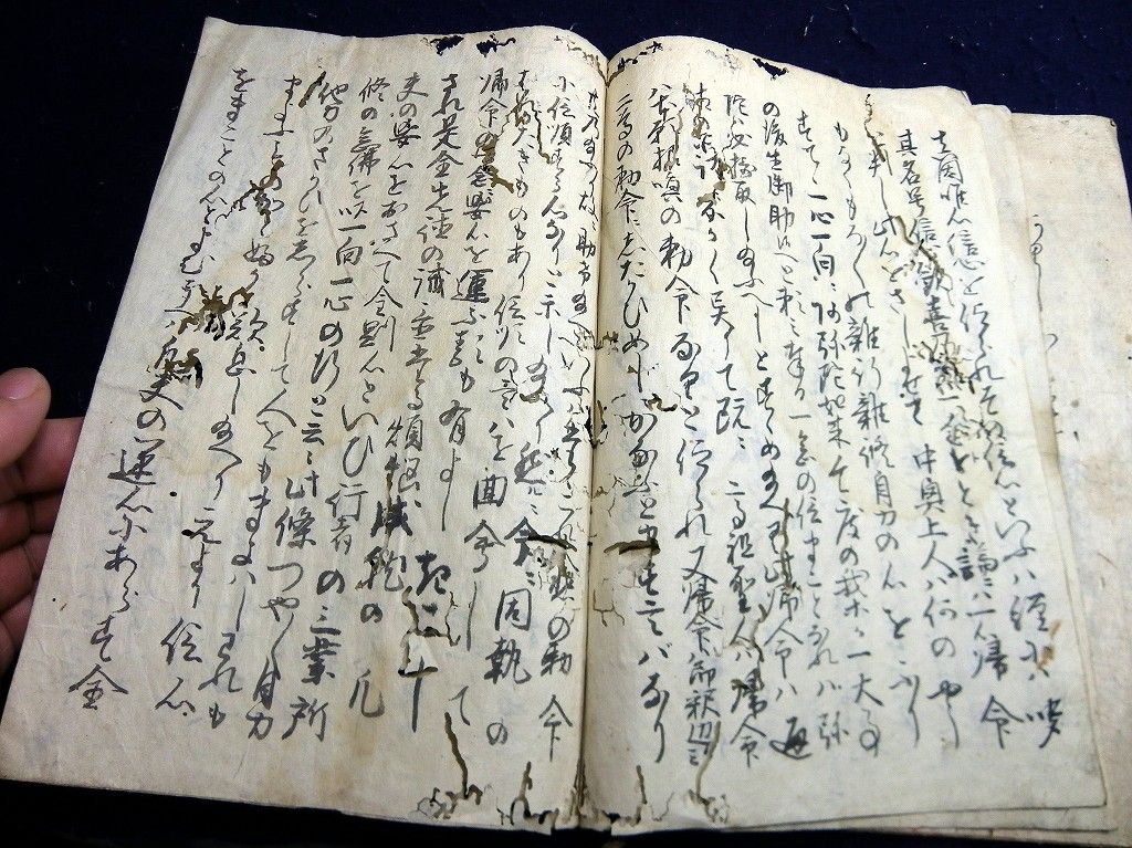イメージ 7