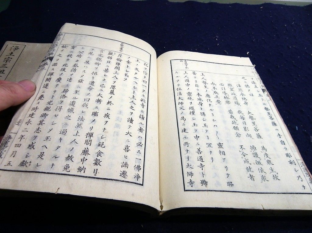 イメージ 10