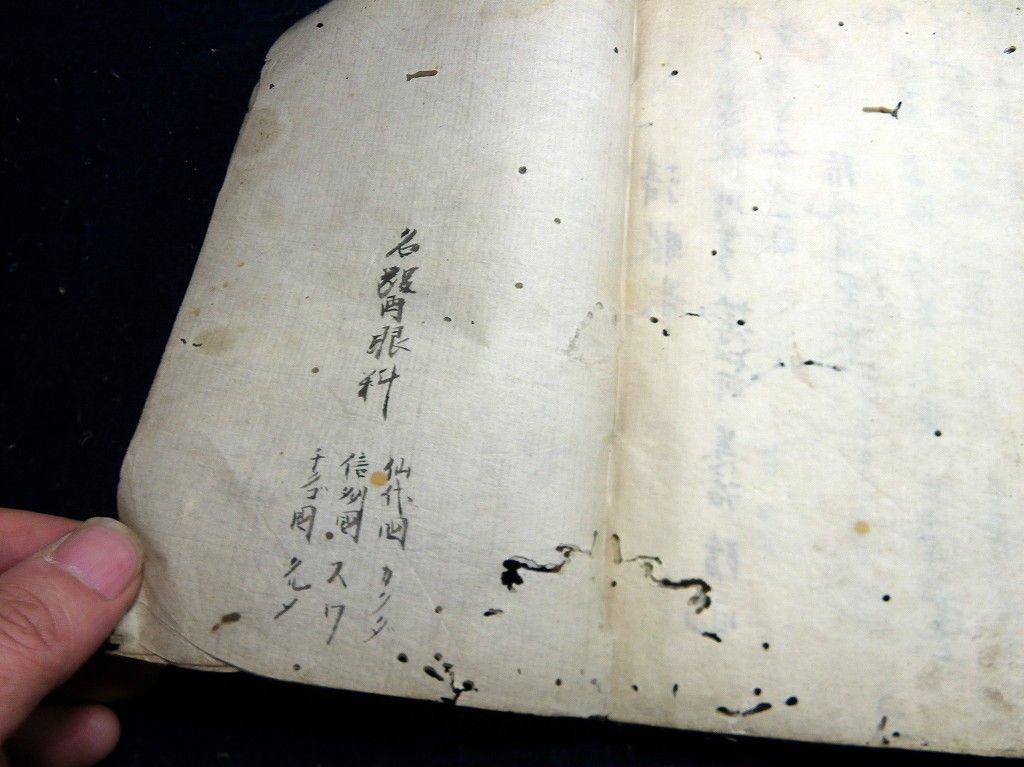 イメージ 11