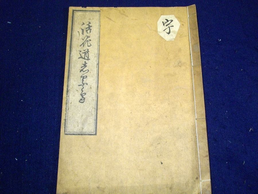 イメージ 1
