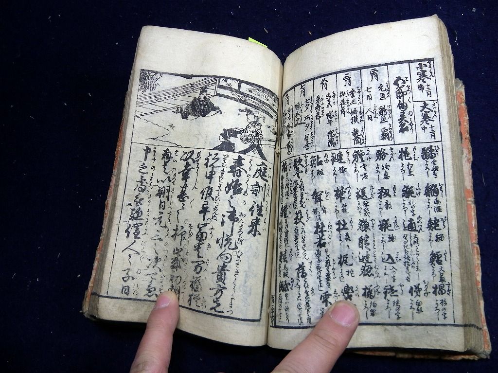イメージ 9