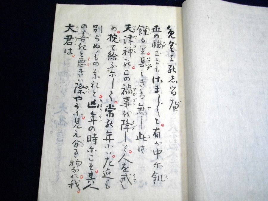 イメージ 2