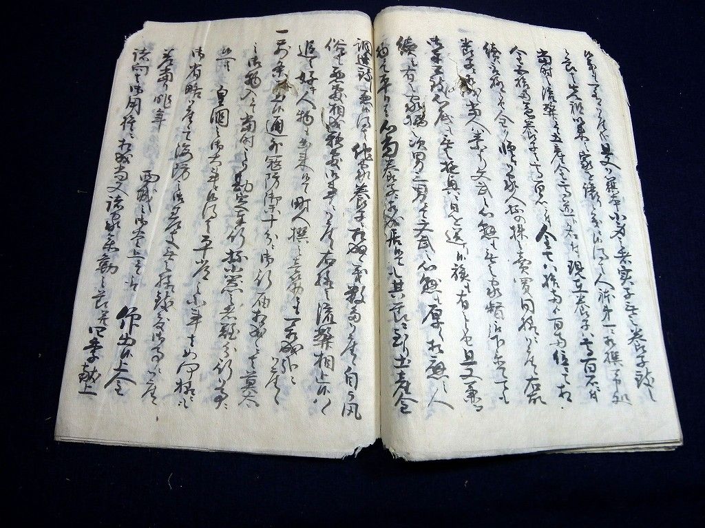 イメージ 6
