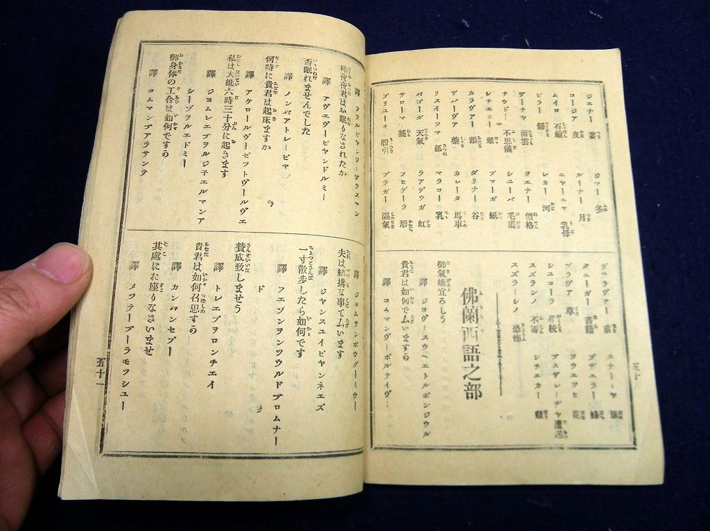 イメージ 11
