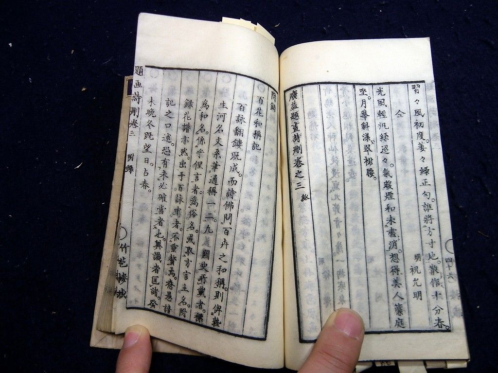 イメージ 6