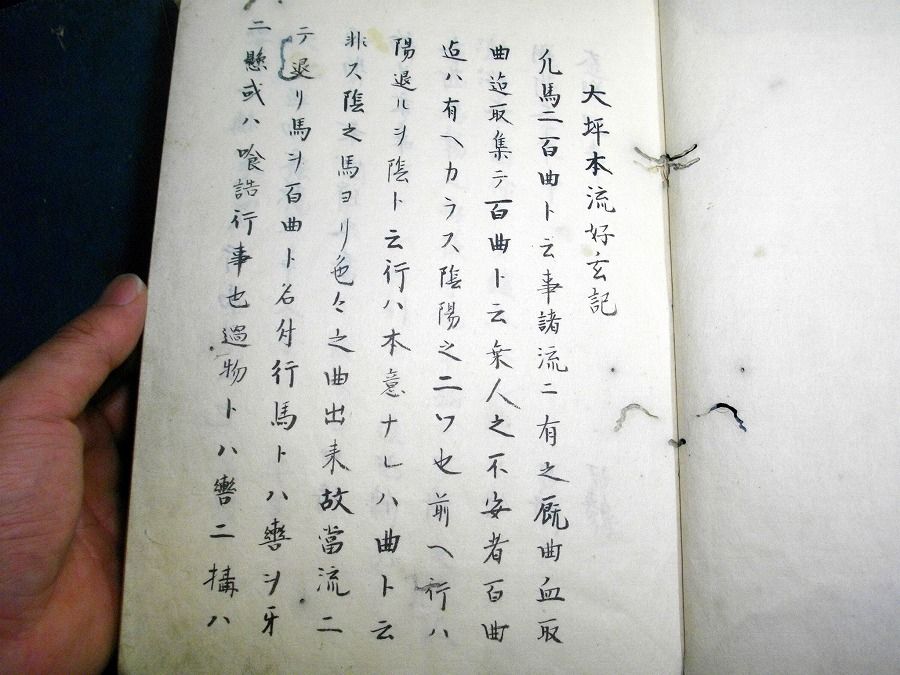 イメージ 7