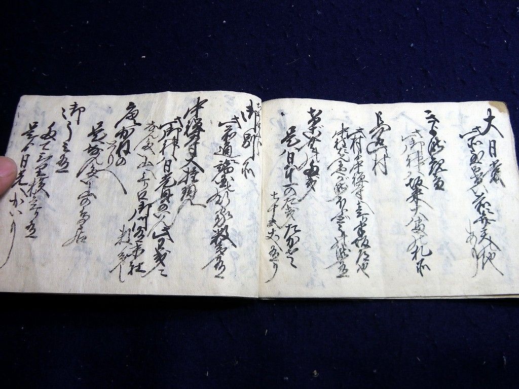 イメージ 8