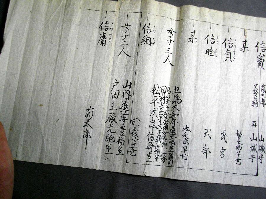 イメージ 5