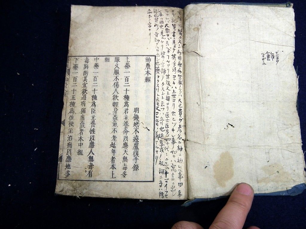 イメージ 2