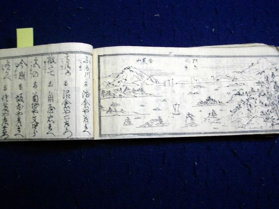 イメージ 8