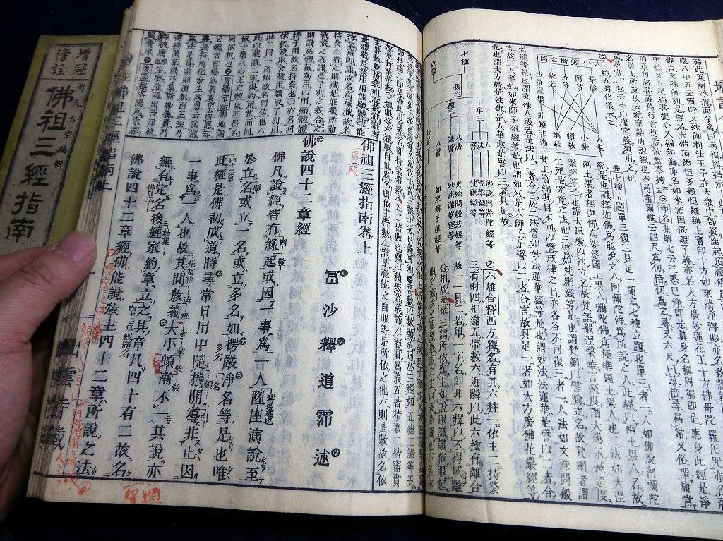 イメージ 5