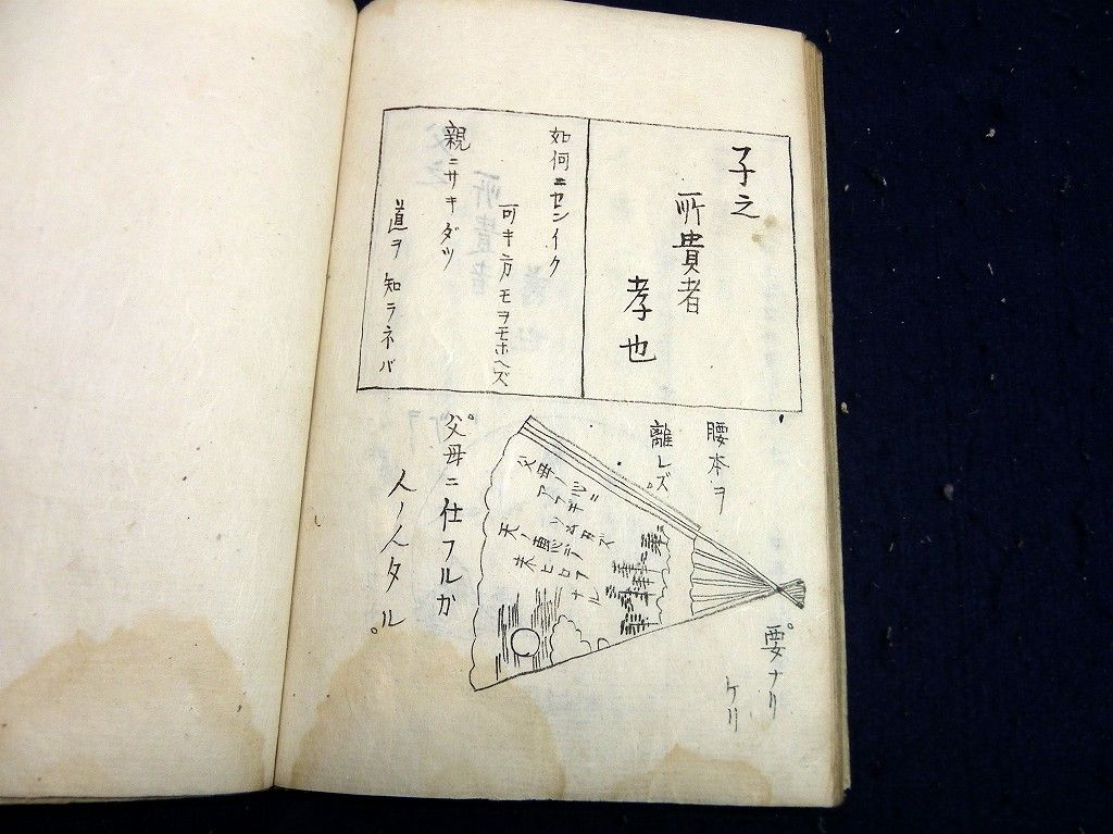 イメージ 15