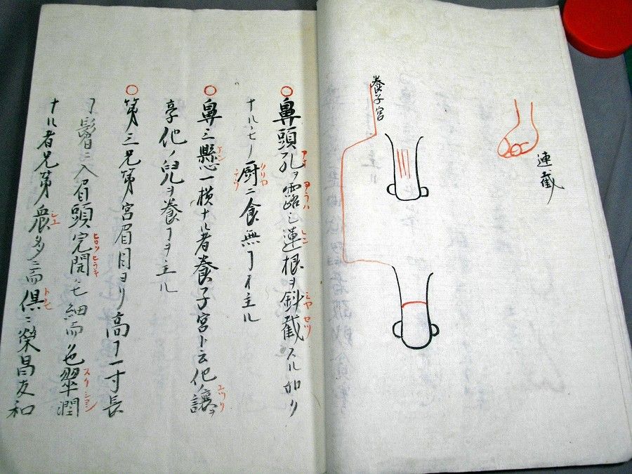 イメージ 5