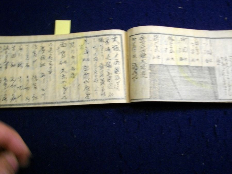 イメージ 7