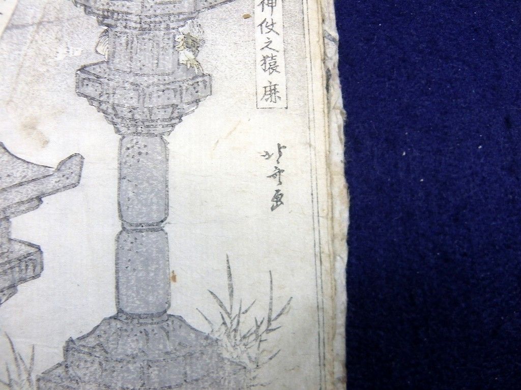 イメージ 7