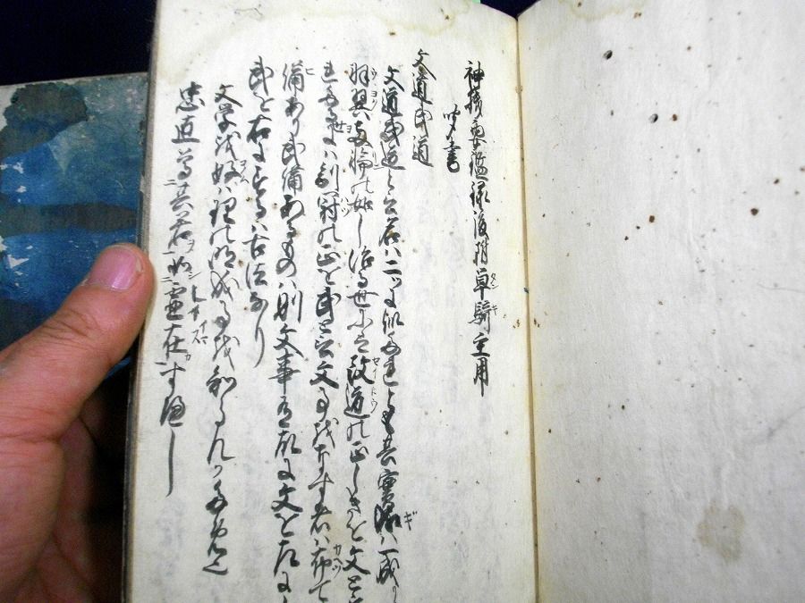 イメージ 3