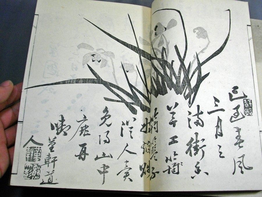 イメージ 1